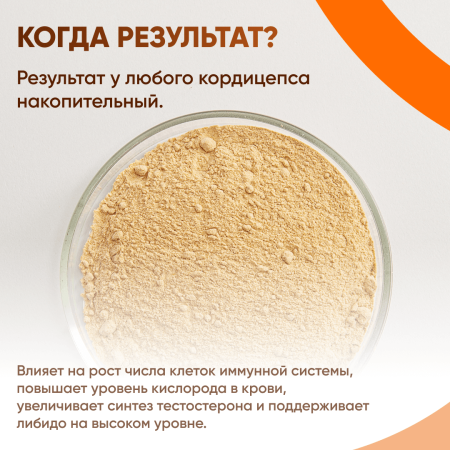 Картинка кордицепс милитарис (cordyceps militaris) в порошке микофарм от интернет-аптеки mosgomeopat.ru