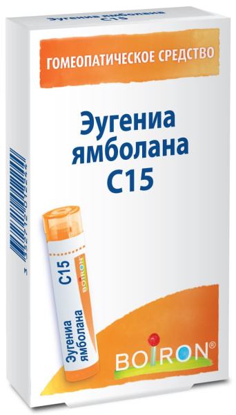 Картинка эугениа ямболана (eugenia jambolana) c15 от интернет-аптеки mosgomeopat.ru