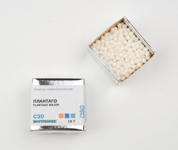 Плантаго (Plantago) Фитасинтекс