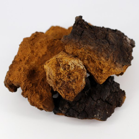 Картинка чага среднего помола фангилайн от интернет-аптеки mosgomeopat.ru