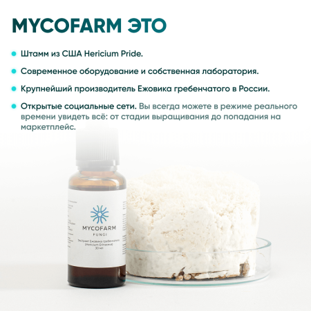 Картинка ежовик гребенчатый (hericium erinaceus) экстракт 30 мл микофарм от интернет-аптеки mosgomeopat.ru