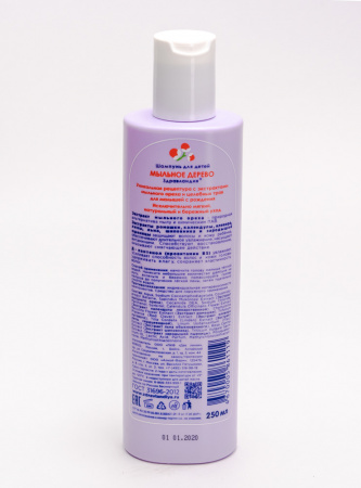 Картинка мыльное дерево(алкой) от интернет-аптеки mosgomeopat.ru