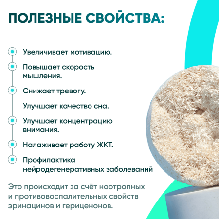 Картинка ежовик гребенчатый (hericium erinaceus) в порошке микофарм от интернет-аптеки mosgomeopat.ru