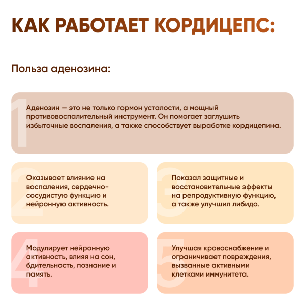 Картинка кордицепс милитарис (cordyceps militaris) в капсулах микофарм от интернет-аптеки mosgomeopat.ru