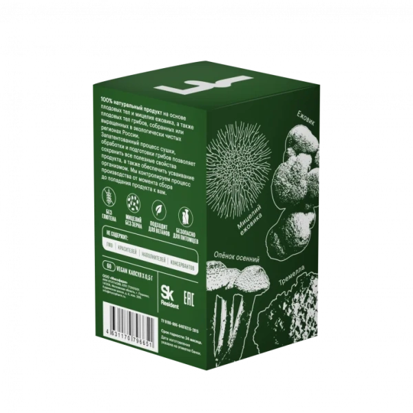 Картинка комплекс «здоровье мозга» фангилайн от интернет-аптеки mosgomeopat.ru