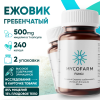 Ежовик гребенчатый (Hericium Erinaceus) 240 капсул Микофарм