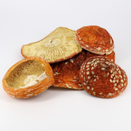 Картинка мухоморный крем усиленная формула 150 мл фангилайн от интернет-аптеки mosgomeopat.ru