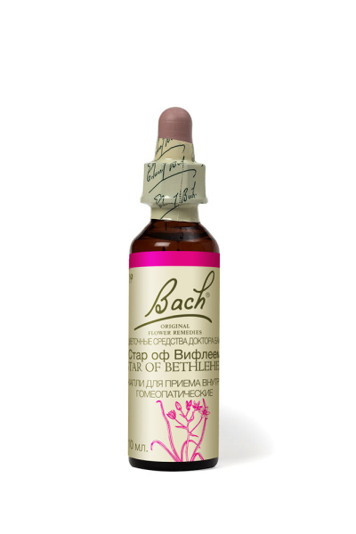 29.Стар оф Вифлеем (Птицемлечник) Цветы Баха