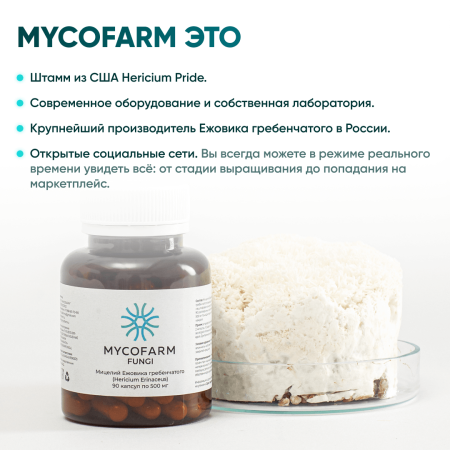 Картинка ежовик гребенчатый (hericium erinaceus) в капсулах микофарм от интернет-аптеки mosgomeopat.ru